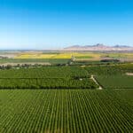 Photo 1 for Grand Island Orchard & Headquarters