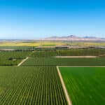 Photo 5 for Grand Island Orchard & Headquarters