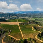 Photo 14 for Merlo Vineyard