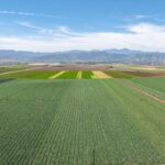 Photo 1 for Reynolds Land and Cattle Co. Farmland