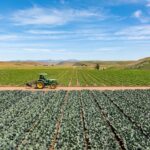 Photo 3 for Reynolds Land and Cattle Co. Farmland