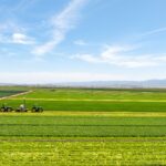 Photo 6 for Reynolds Land and Cattle Co. Farmland